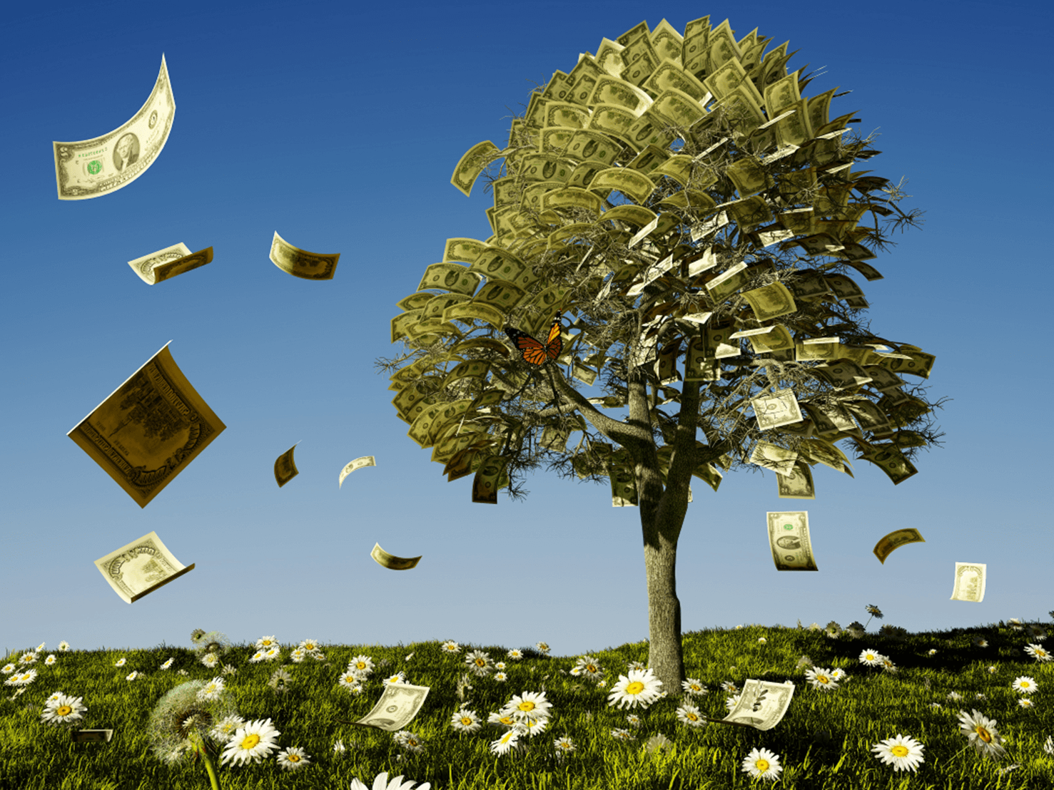 Does Money Grow On Tress? | BCCU